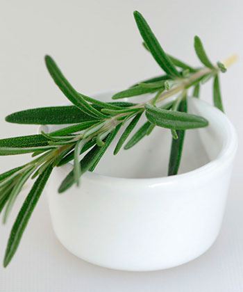 4 Ways to Use Rosemary for Hair Growth